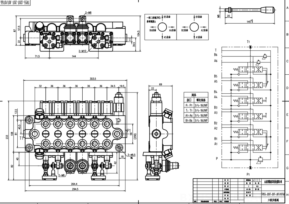 TR55 Manuell und Joystick 6 Steuerkolben Monoblock-Wegeventil drawing image