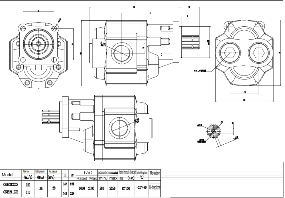CBHST1-ISO-110 Hubvolumen pro Umdrehung Hydraulikzahnradpumpe drawing image
