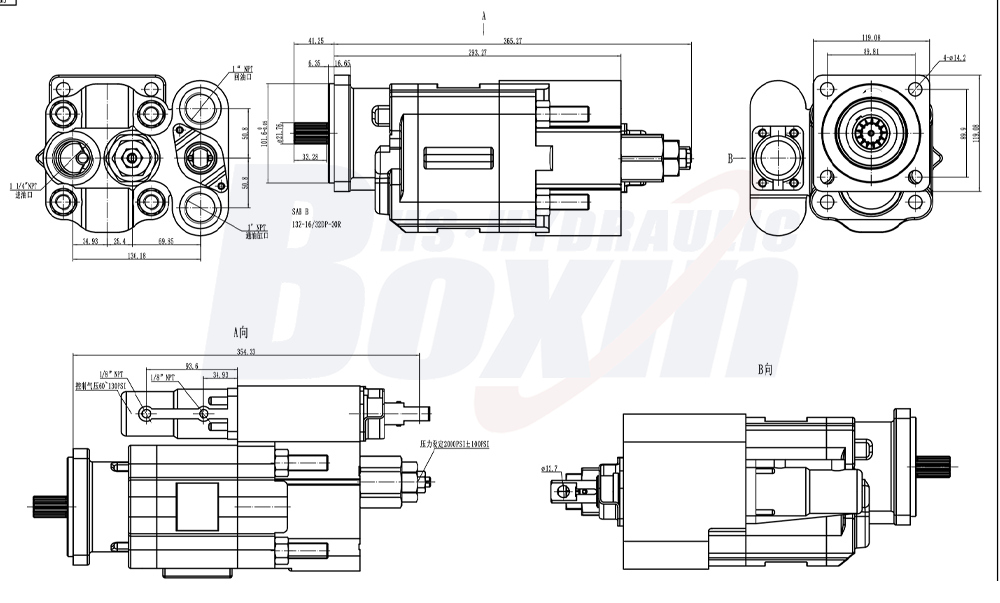 C102 100 cc/Umdr 20 MPa (2900 psi) Hydraulikzahnradpumpe drawing image