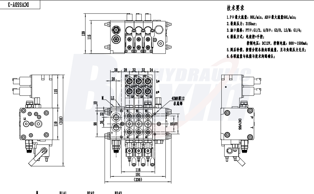 Strategic Cooperation Opportunities for DCV55 Electro-hydraulic 3 Spool Sectional Valve Global Channels drawing image