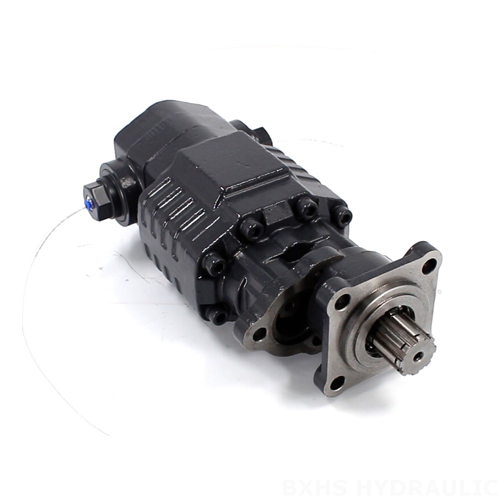 BF110A-ZF1 Hubvolumen pro Umdrehung 20 MPa (2900 psi) Hydraulikzahnradpumpe image