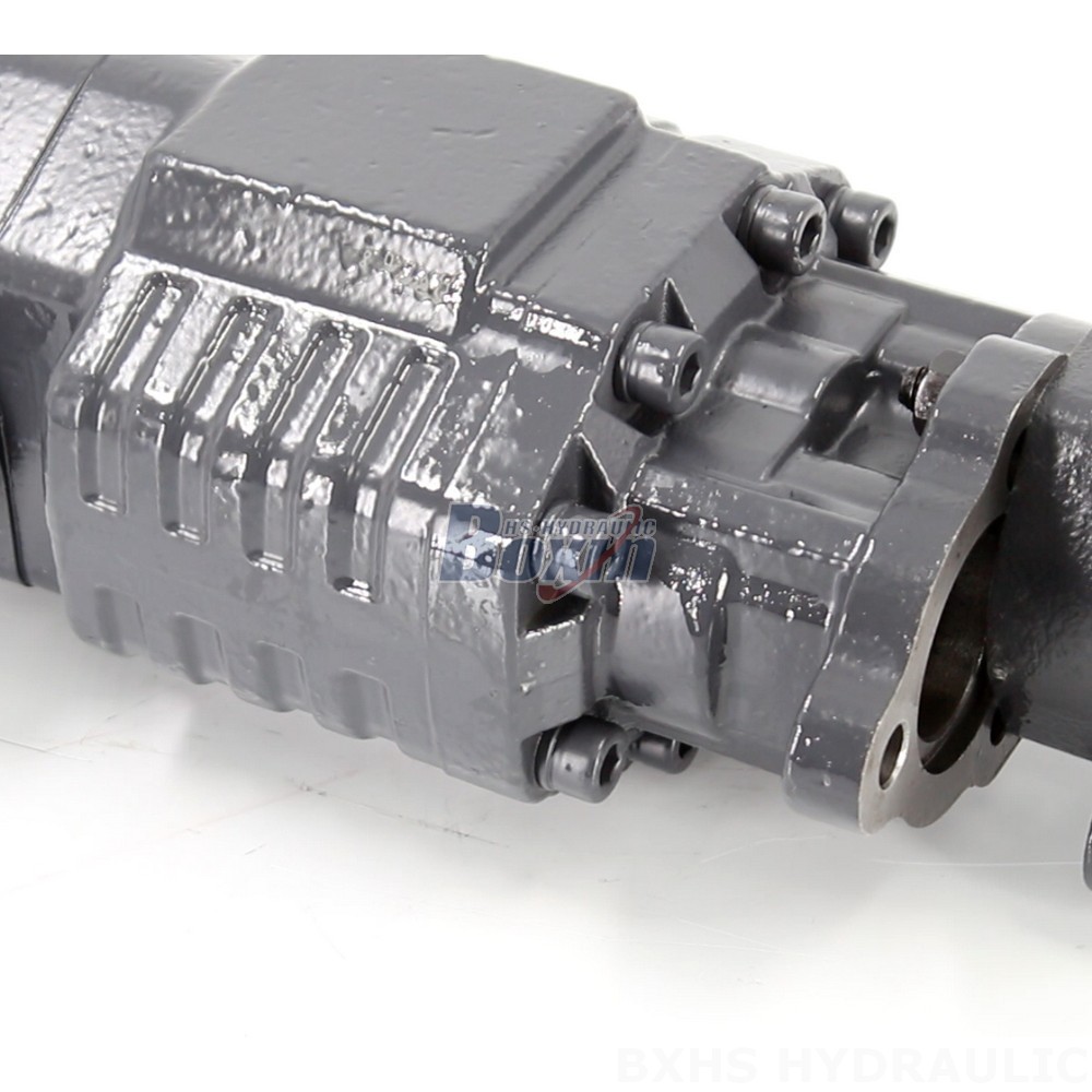 BF110A-ZF1 Hydraulic Gear Pump: OEM, ODM, Private Label & Custom Manufacturing Services detail image