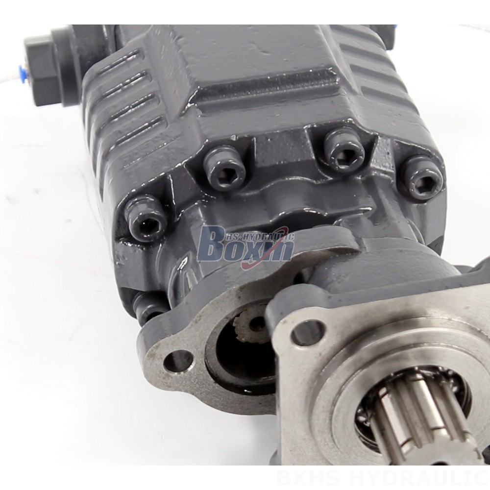 BF110A-ZF1 Hydraulic Gear Pump: OEM, ODM, Private Label & Custom Manufacturing Services detail image