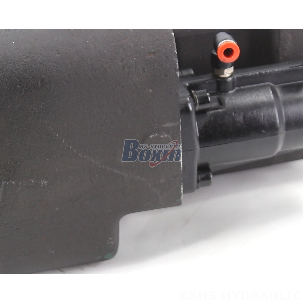 C101-25-LAS Hydraulic Gear Pump: OEM & ODM Services Available - Customization Options detail image