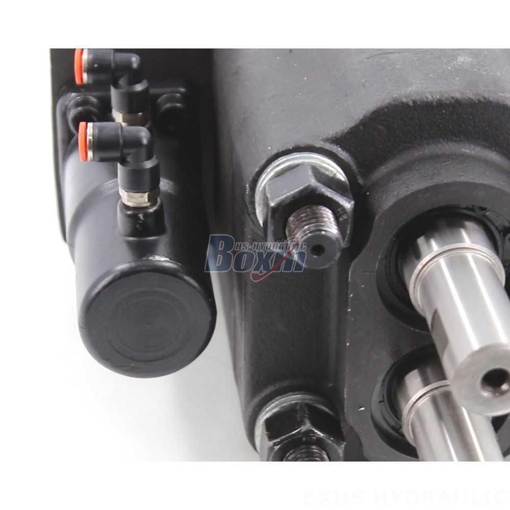 C101-25-LAS Hydraulic Gear Pump: OEM & ODM Services Available - Customization Options detail image
