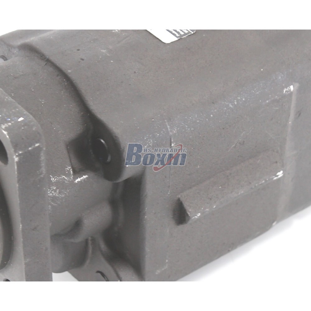 Standard C102-LMS-25 100 cc/rev Hydraulic Gear Pump Supply detail image