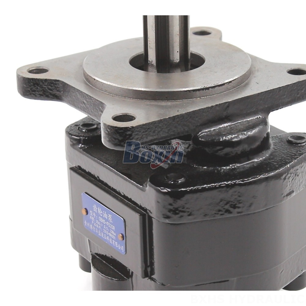 20 cc/rev Hydraulic Gear Pump - High Performance & Durable detail image