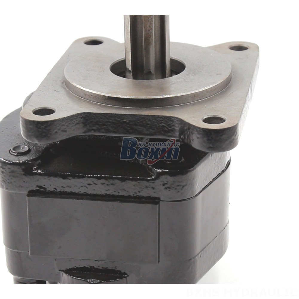 Manufacturer of 20 cc/rev Hydraulic Gear Pumps: Wholesale & Customization Available detail image