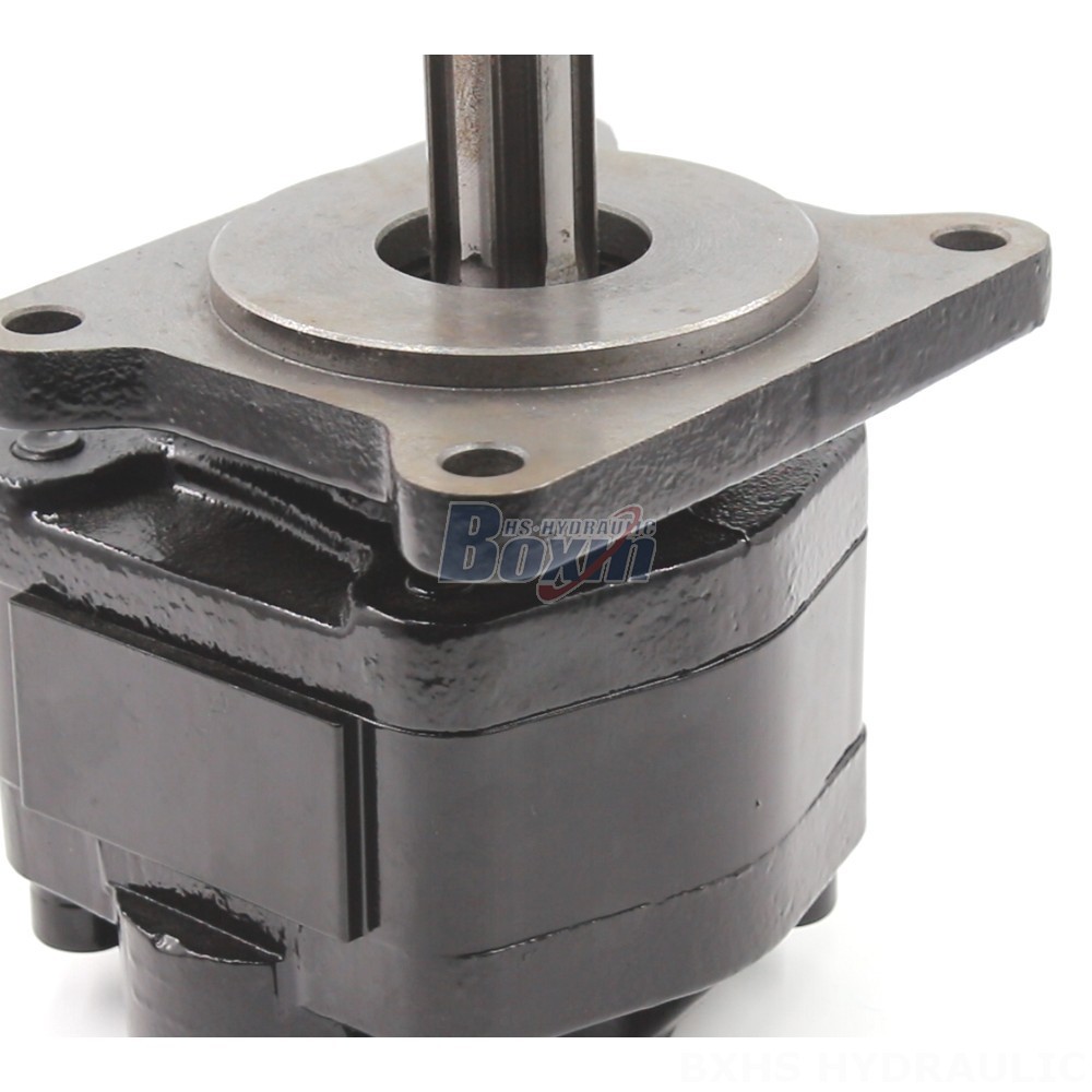 20 cc/rev Hydraulic Gear Pump: OEM & ODM Services Available detail image