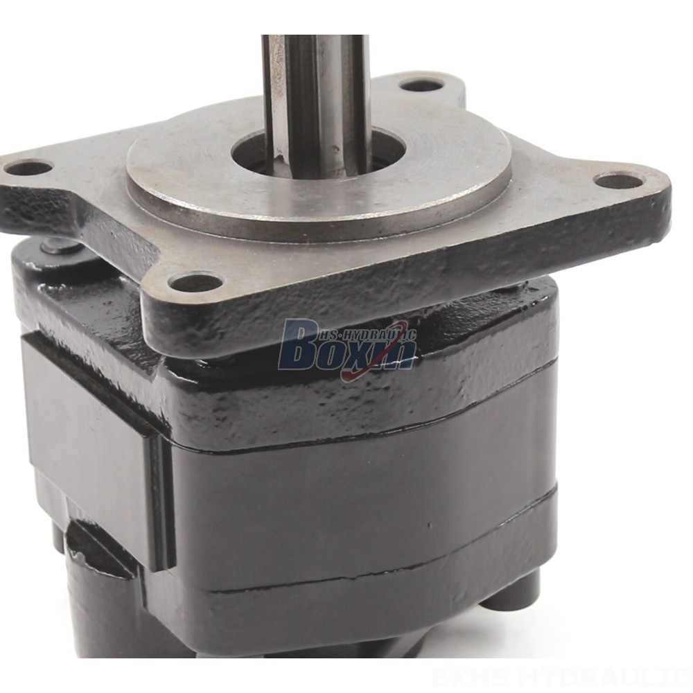 Manufacturer of 20 cc/rev Hydraulic Gear Pumps: Wholesale & Customization Available detail image