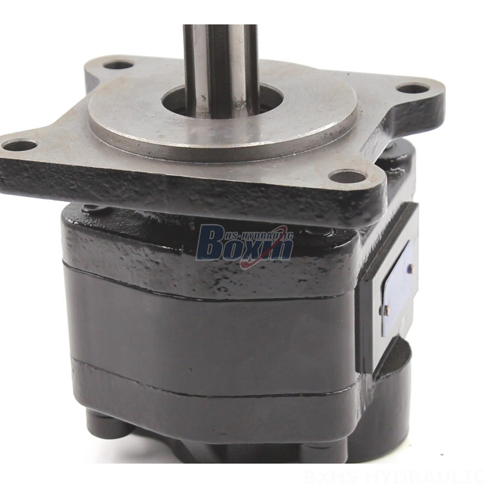Manufacturer of 20 cc/rev Hydraulic Gear Pumps: Wholesale & Customization Available detail image