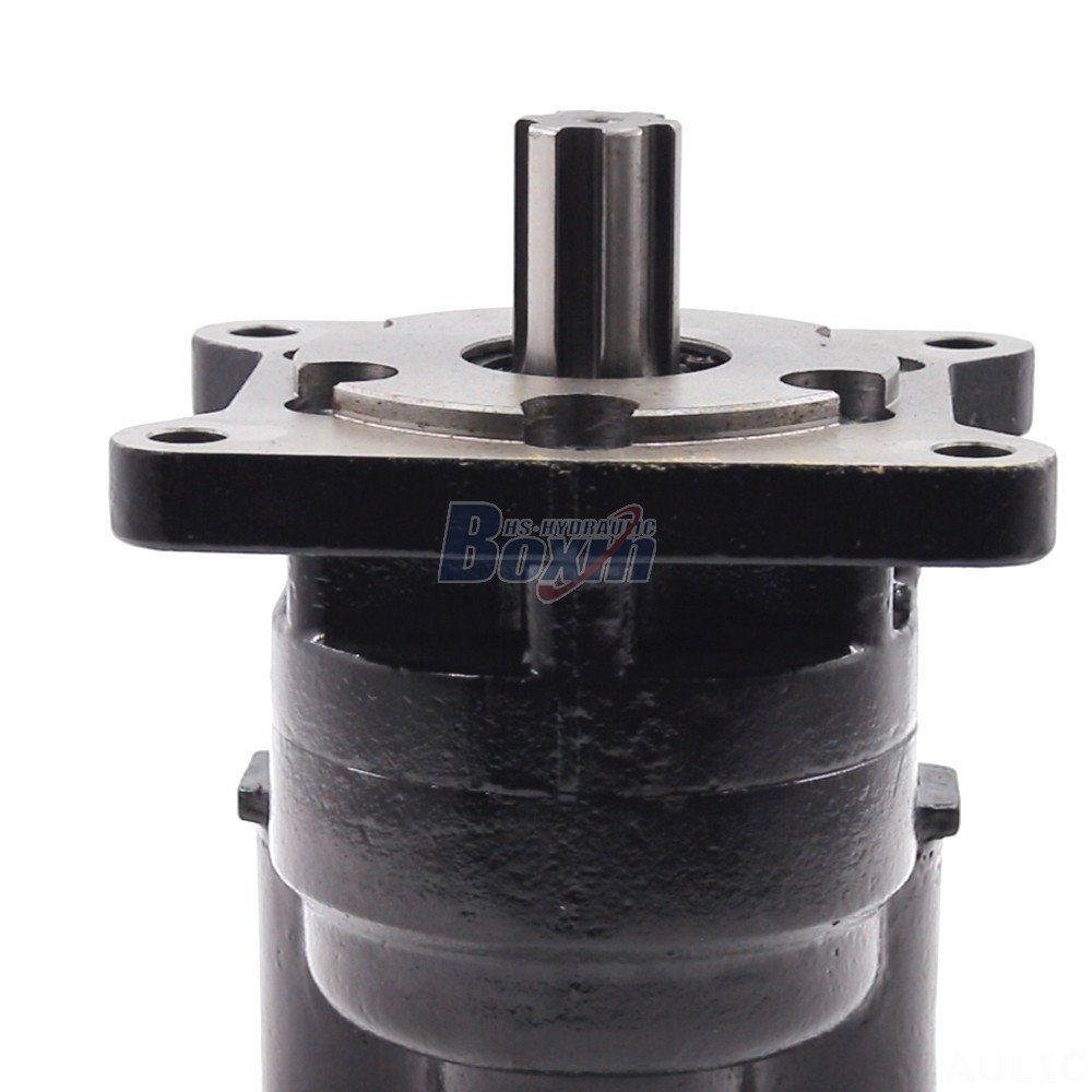 Industrial-Grade Hydraulic Gear Pump: Customized Manufacturing and Distribution detail image