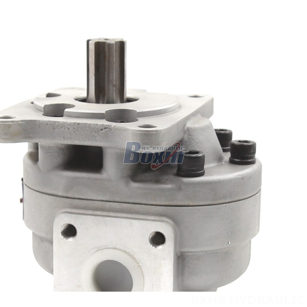 CBHS-F550 50 cc/rev Hydraulic Gear Pump: Manufacturer & Global Supplier detail image