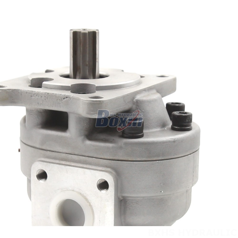 50 cc/rev Gear Pump: CBHS-F550 | Factory Direct & Customizable detail image