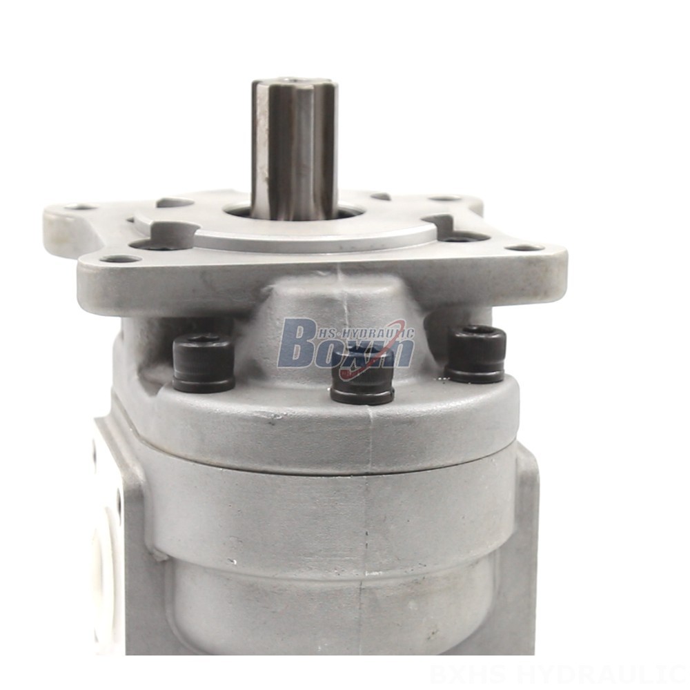 50 cc/rev Gear Pump: CBHS-F550 | Factory Direct & Customizable detail image