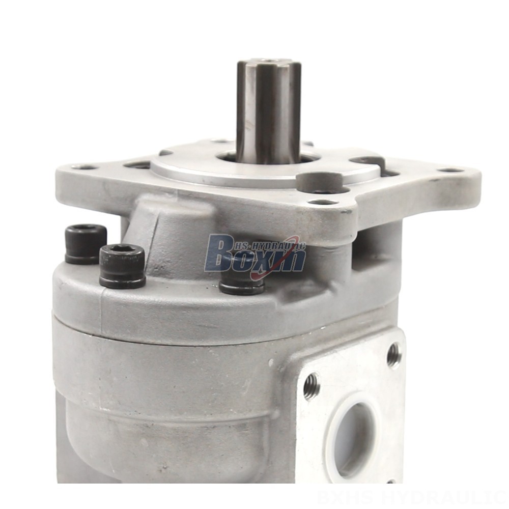 50 cc/rev Gear Pump: CBHS-F550 | Factory Direct & Customizable detail image