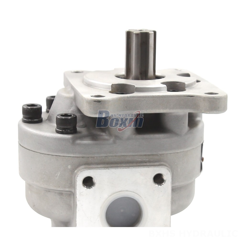 CBHS-F550 50 cc/rev Gear Pump: Innovative Hydraulic Solutions detail image