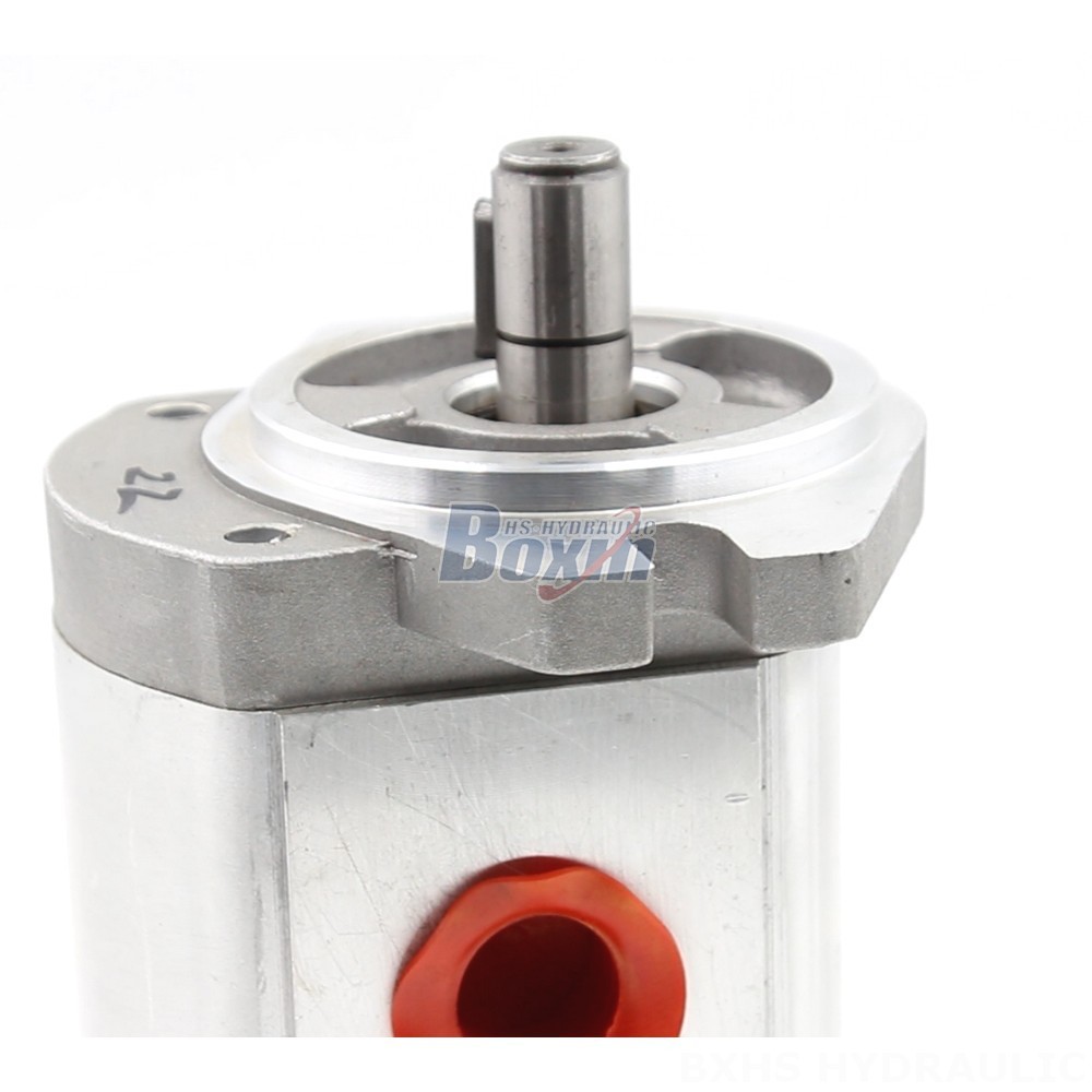 CBHS-FL304 Hydraulic Gear Pump: Reliable & Efficient | Manufacturer Supply detail image