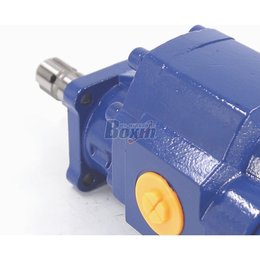 Durable CBHST1-110-KZ 110 cc/rev Hydraulic Gear Pump for Heavy Duty Applications detail image