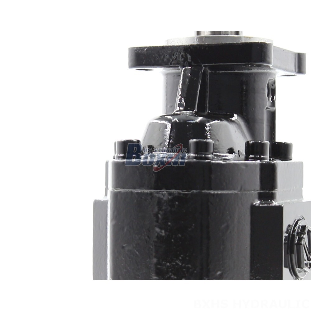 Industrial Hydraulics: Explore the Possibilities with CBHST1-ISO-63 Pumps detail image