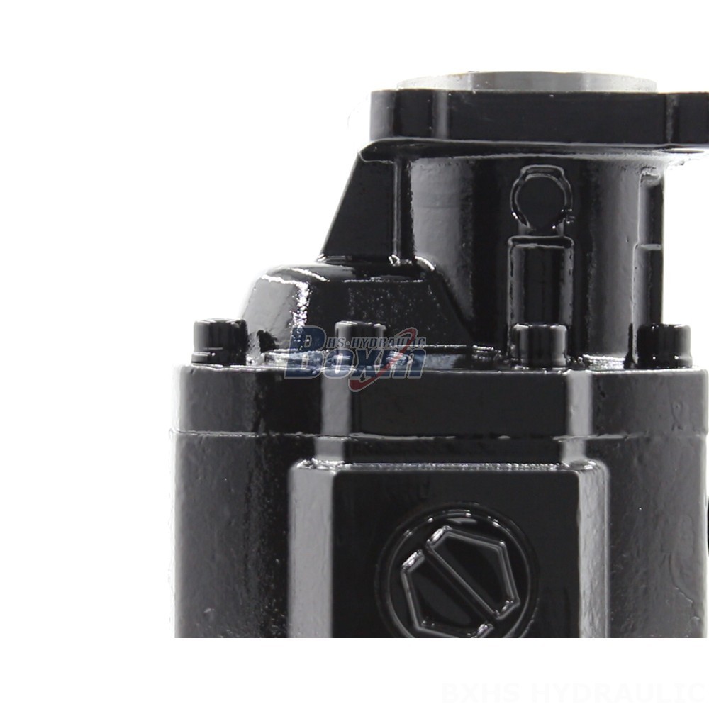 Custom Hydraulic Gear Pumps CBHST1-ISO-63: Engineered to Your Specifications detail image