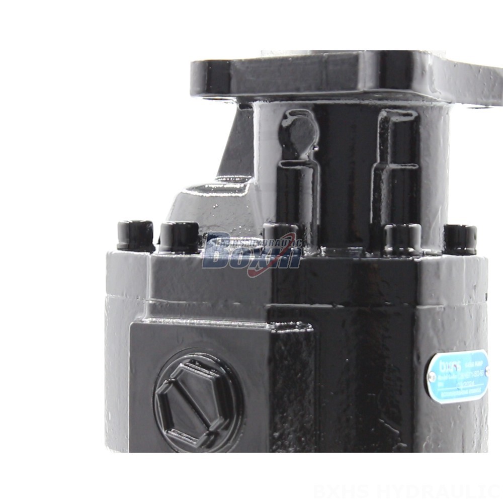 Industrial Hydraulics: Explore the Possibilities with CBHST1-ISO-63 Pumps detail image