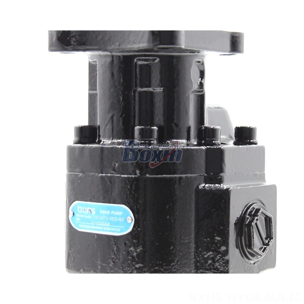 Bespoke Hydraulic Solutions: Leverage Our Expertise for CBHST1-ISO-63 Pumps detail image