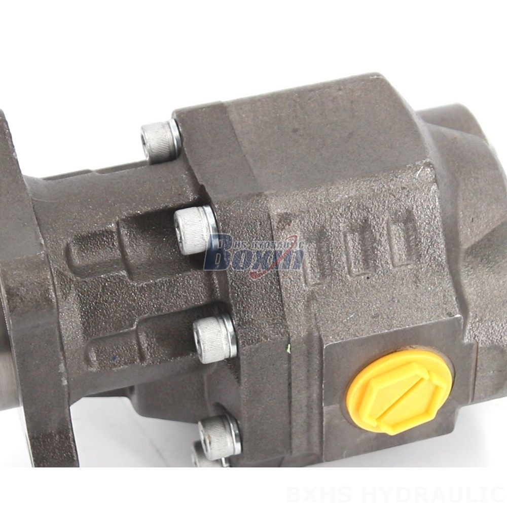 Seeking Global Distributors, Wholesalers, Agents, and Traders for CBHW-ISO-100-Y Hydraulic Gear Pumps detail image