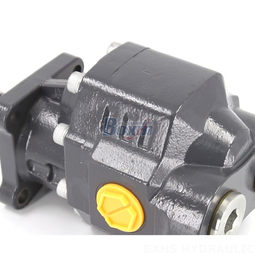Precision Engineered 3190 psi Hydraulic Gear Pump for Machinery detail image
