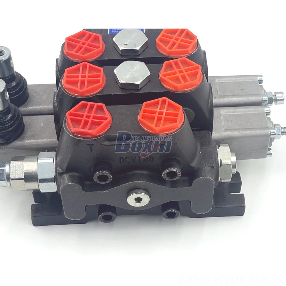 Manufacturer of DCV100 Valves: Wholesale & Customization Available detail image