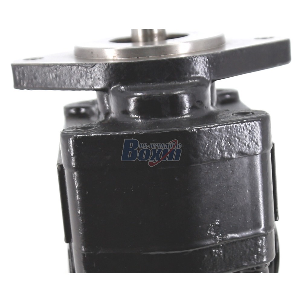 Chinese Manufacturer CBHS-FC25 25 cc/rev Gear Pump Bulk Price detail image