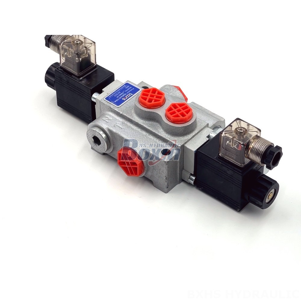 P40-DKL Valves: Direct from the Source for Cost-Effective Solutions detail image