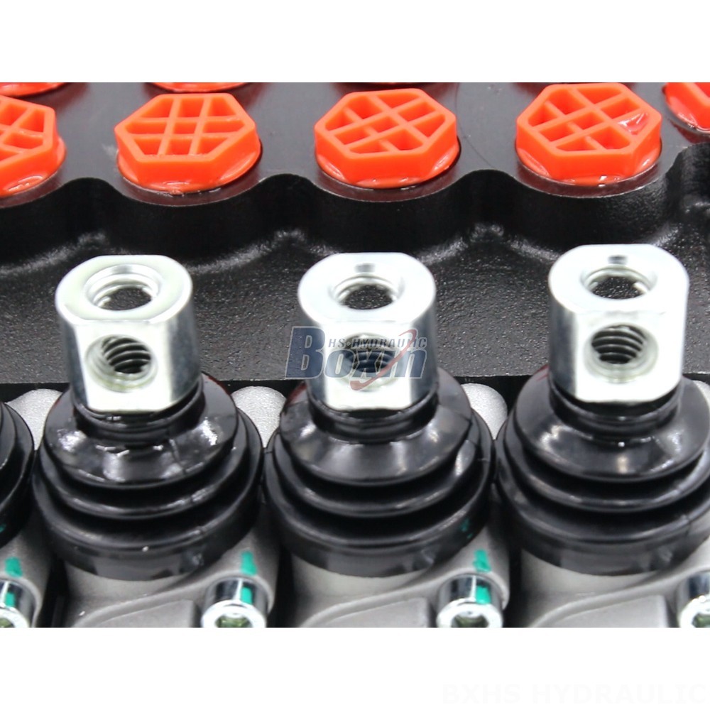 P40-G12-G38 Monoblock Directional Valve: Precision and Durability in Hydraulics detail image
