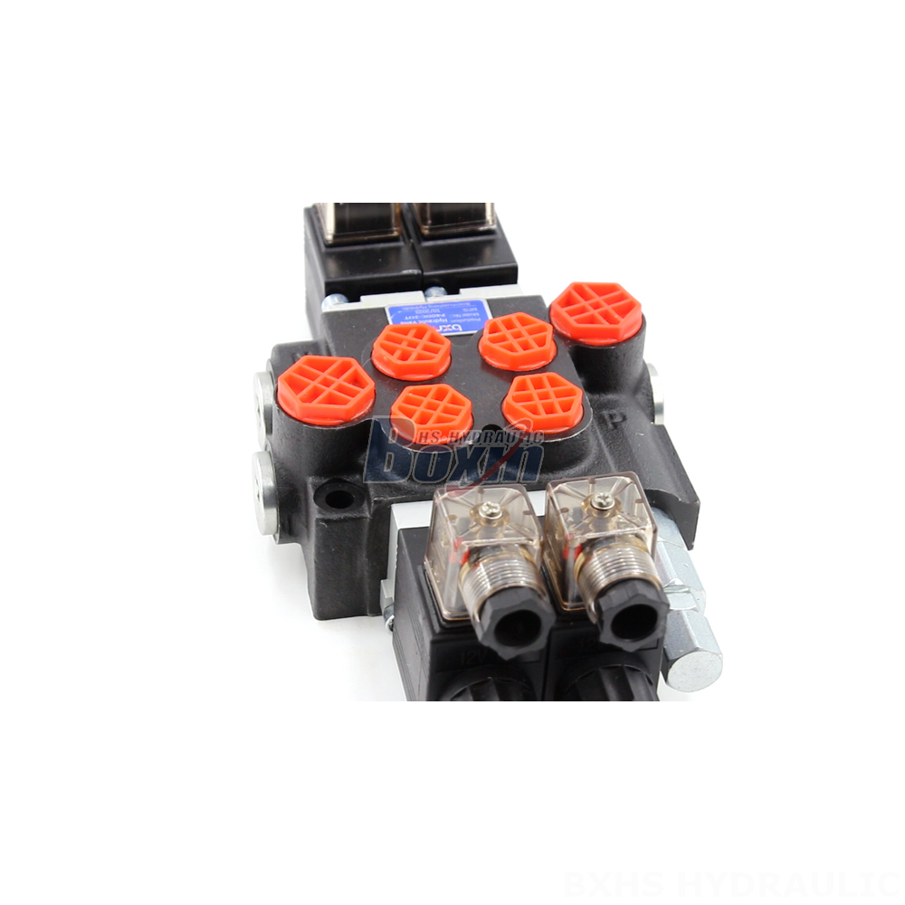 Contract Manufacturing for P40 Solenoid 2 Spool Monoblock Directional Valves detail image