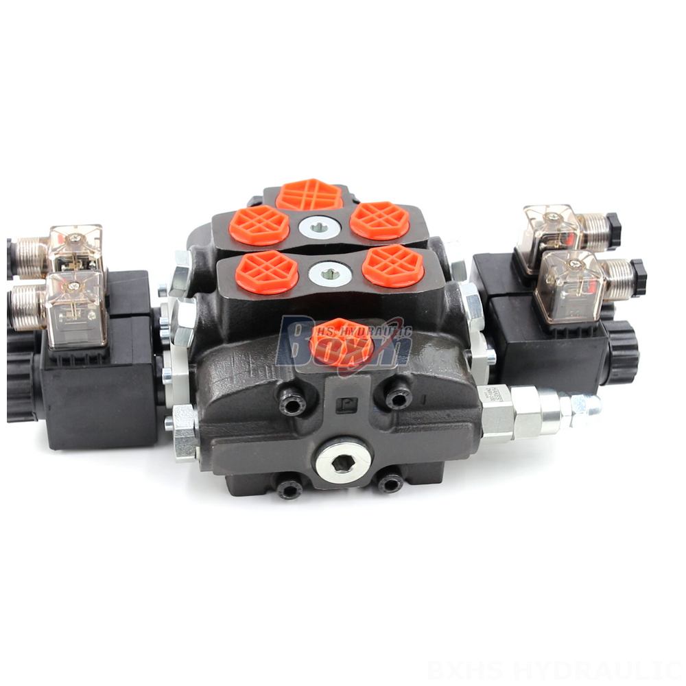 SD8 Solenoid Valve: Tailored to Your Specifications detail image