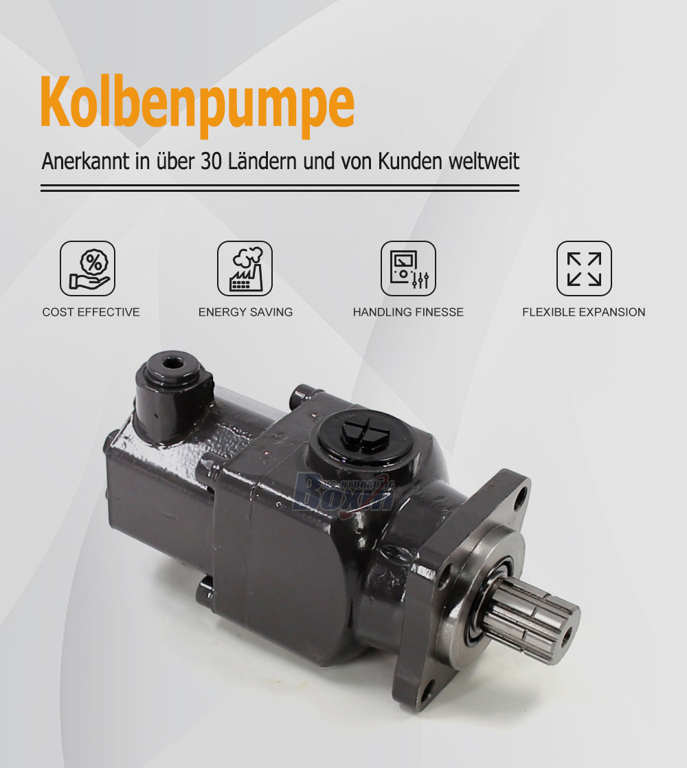 B6-50 50 cc/rev Hydraulic Piston Pump for Industrial Systems
