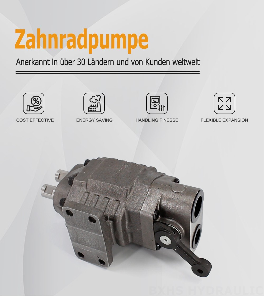 BF110M Hubvolumen pro Umdrehung 20 MPa (2900 psi) Hydraulikzahnradpumpe