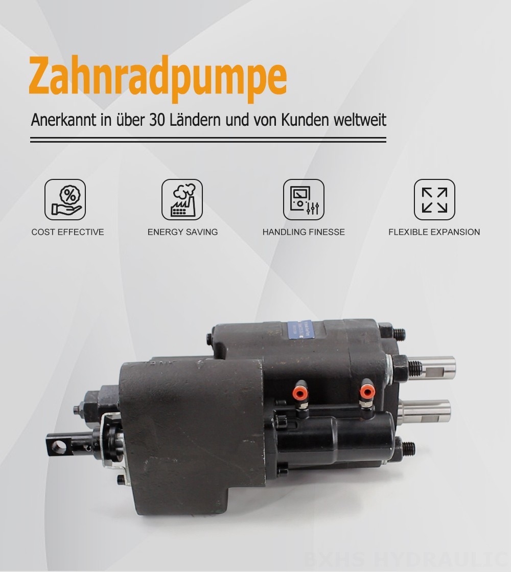 C101-25-LAS Hubvolumen pro Umdrehung Hydraulikzahnradpumpe