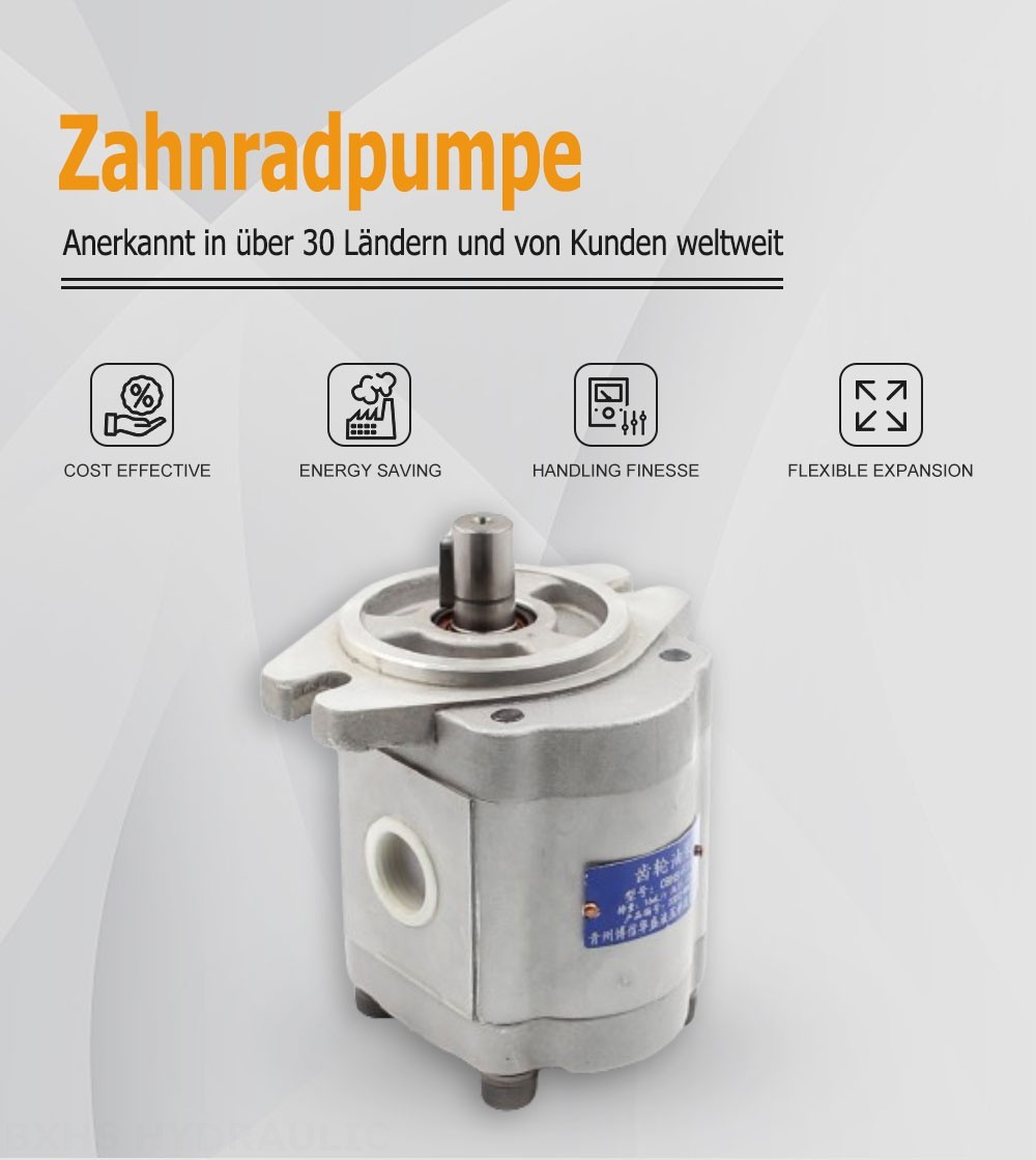 CBHS-F316 Hubvolumen pro Umdrehung Hydraulikzahnradpumpe