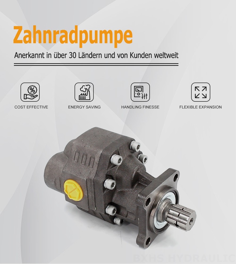 CBHW-ISO-100-Y 100 cm³/U 22 MPa (3190 psi) Hydraulikzahnradpumpe