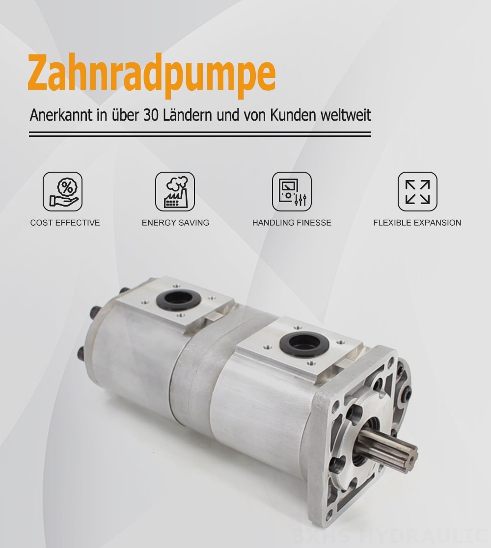 CBN-F540 40 cm³/U Hydraulikzahnradpumpe