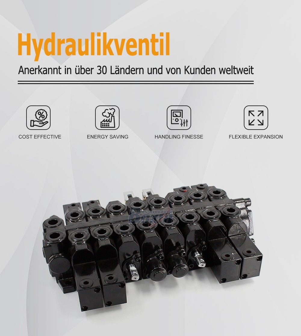 HSW50 Series 8 Spool Monoblock Control Valve for Hydraulic Systems