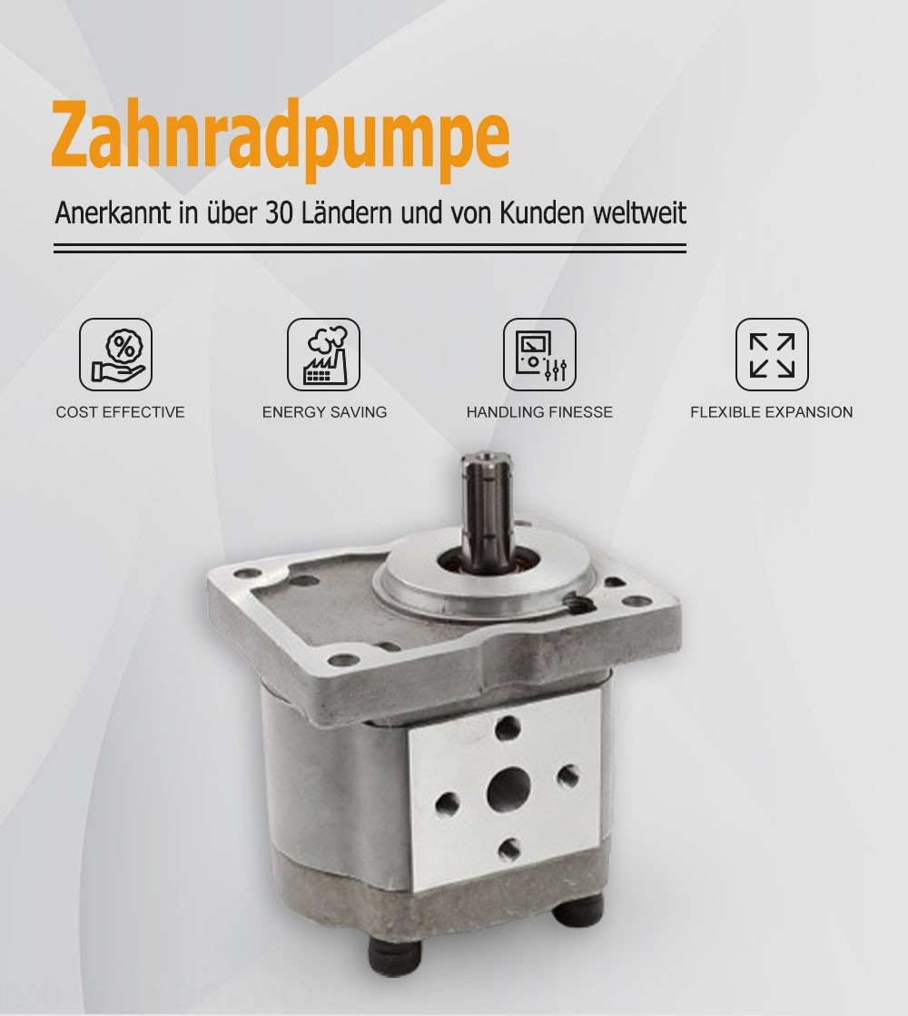 NSH-10 10 cm³/U Hydraulikzahnradpumpe