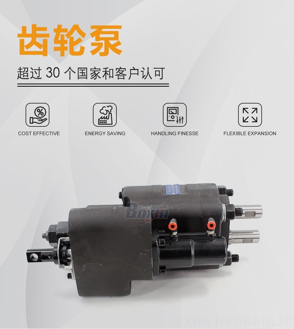 C101-25-LAS 100 毫升/转 20 MPa (2900 psi) 液压齿轮泵