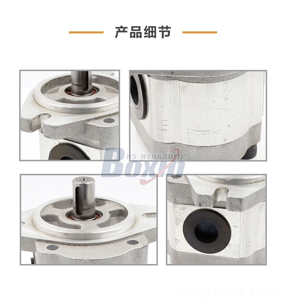 CBHS-FL-306 6 毫升/转 20 MPa (2900 psi) 液压齿轮泵