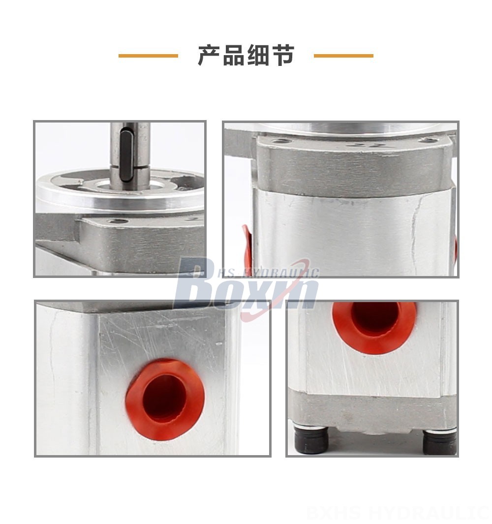 CBHS-FL304 4 毫升/转 20 MPa (2900 psi) 液压齿轮泵