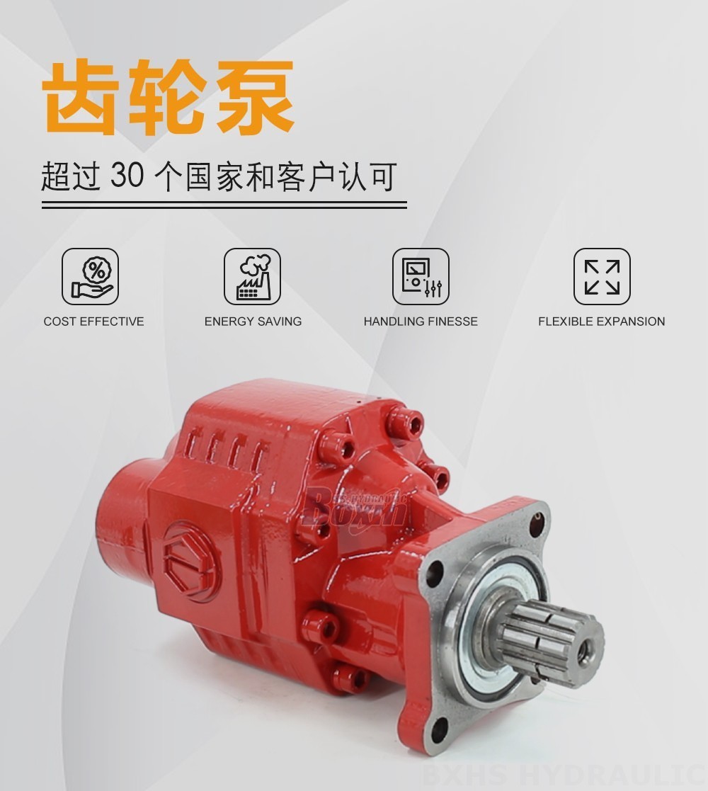 CBHW-ISO-63-X 63 毫升/转 22 MPa (3190 psi) 液压齿轮泵