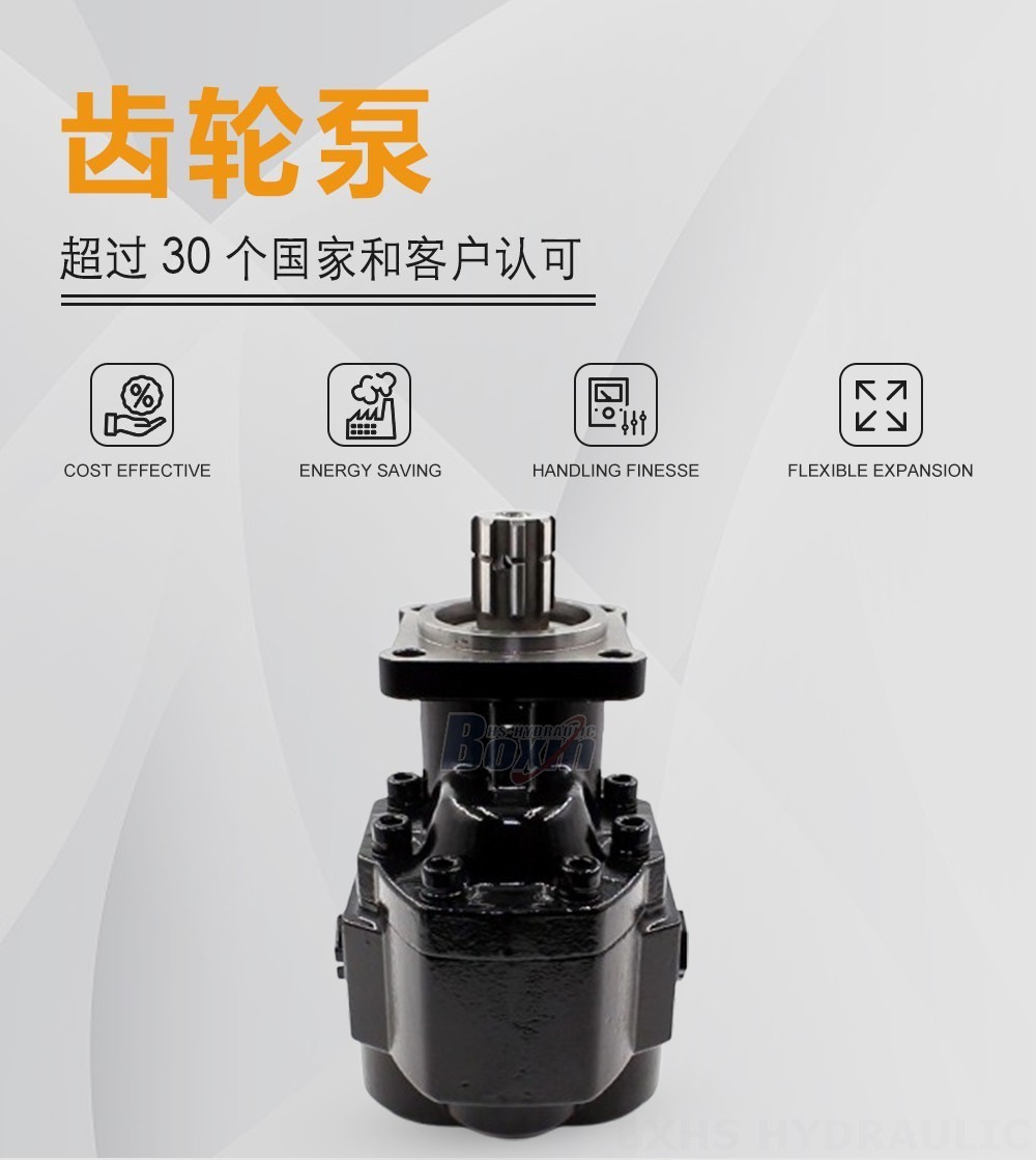 CBHST1-ISO-80 80 毫升/转 20 MPa (2900 psi) 液压齿轮泵