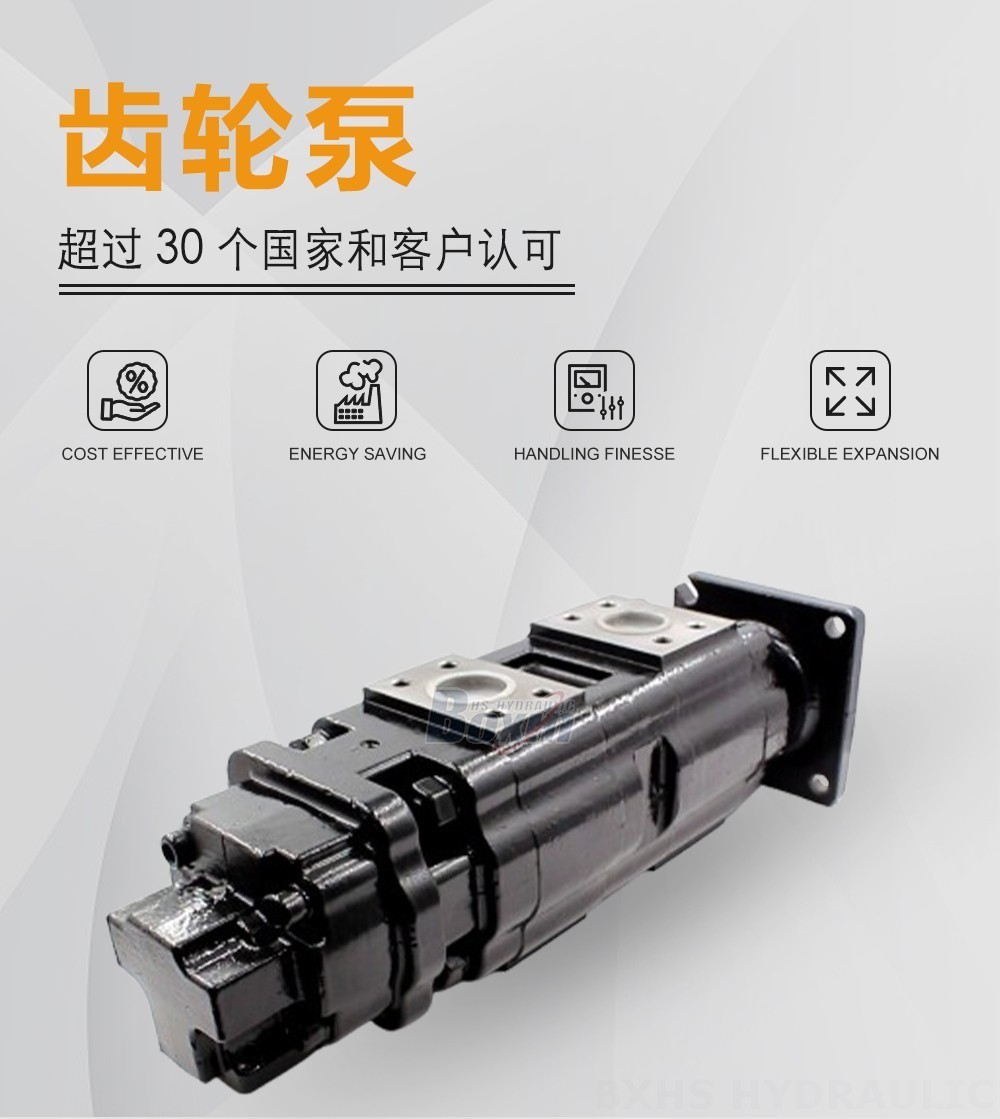 JHP2080-2080-1016 80 毫升/转 20 MPa (2900 psi) 液压齿轮泵