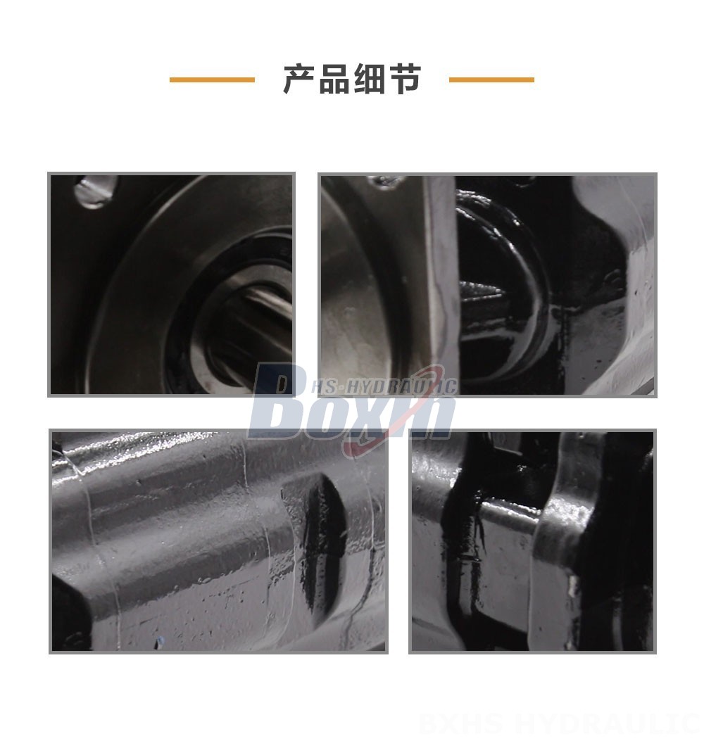 JHP2080-2080-1016 80 毫升/转 20 MPa (2900 psi) 液压齿轮泵